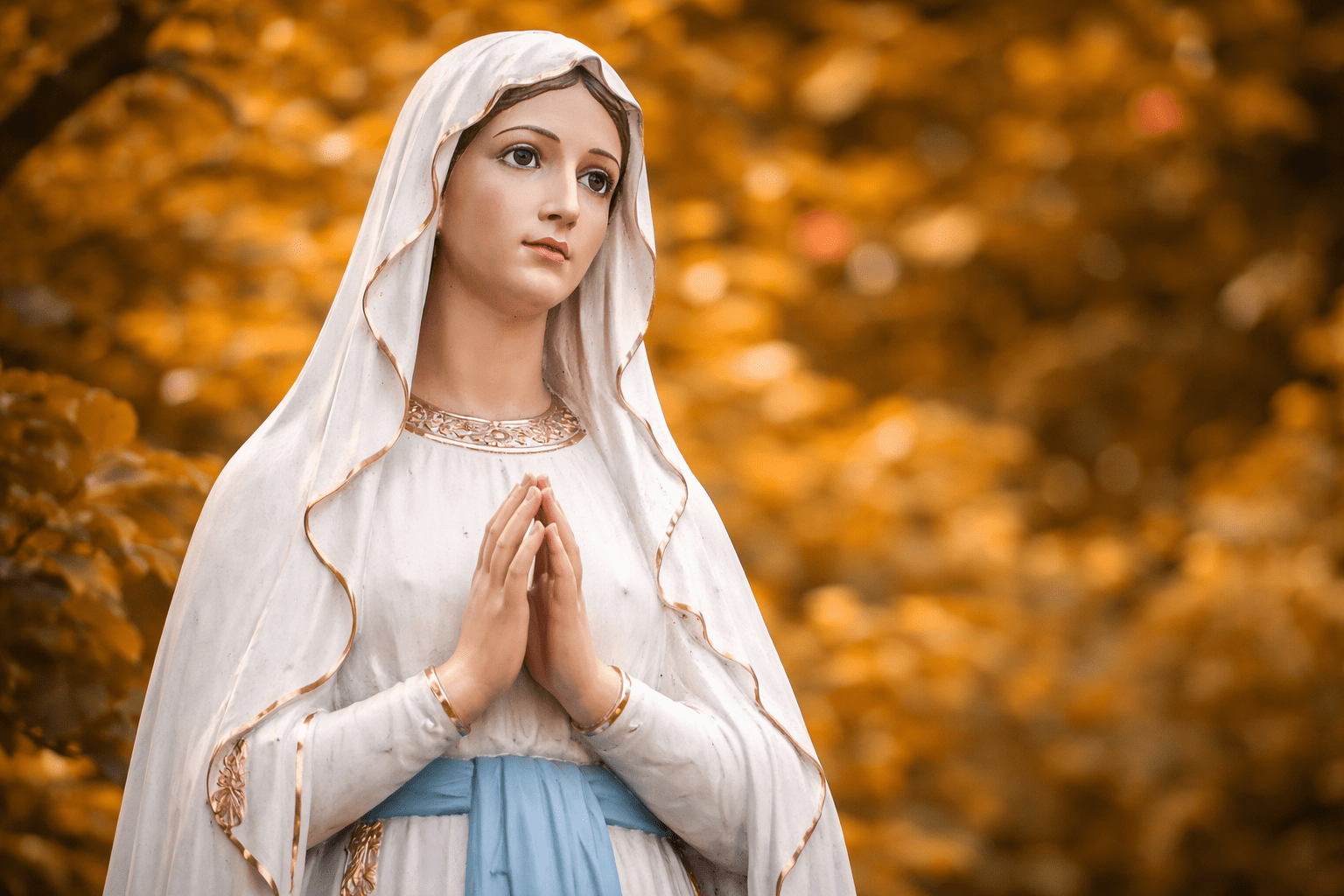 virgen
